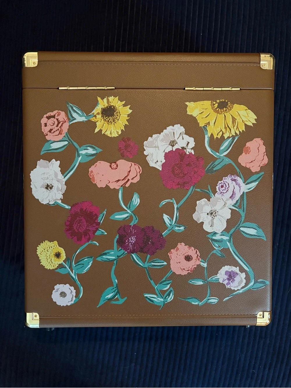 Taylor Swift Acoustic Piano Vinyl Case